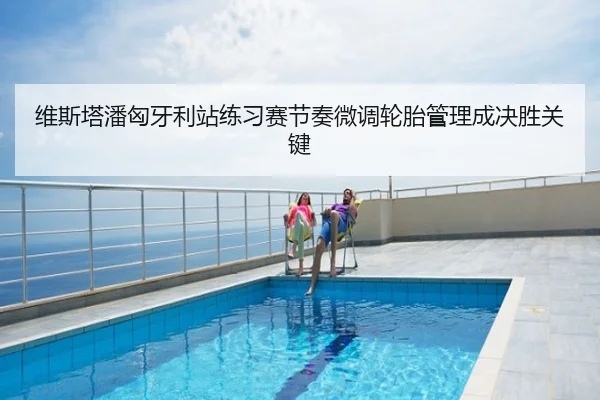 维斯塔潘匈牙利站练习赛节奏微调轮胎管理成决胜关键